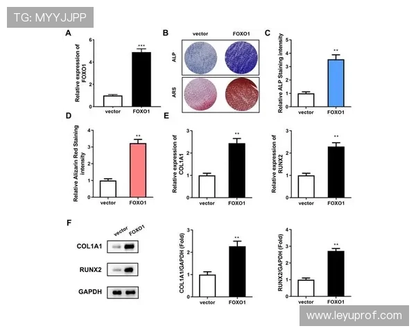 因扎吉与鲁伊斯在定位点转换下展现终结效率分化趋势